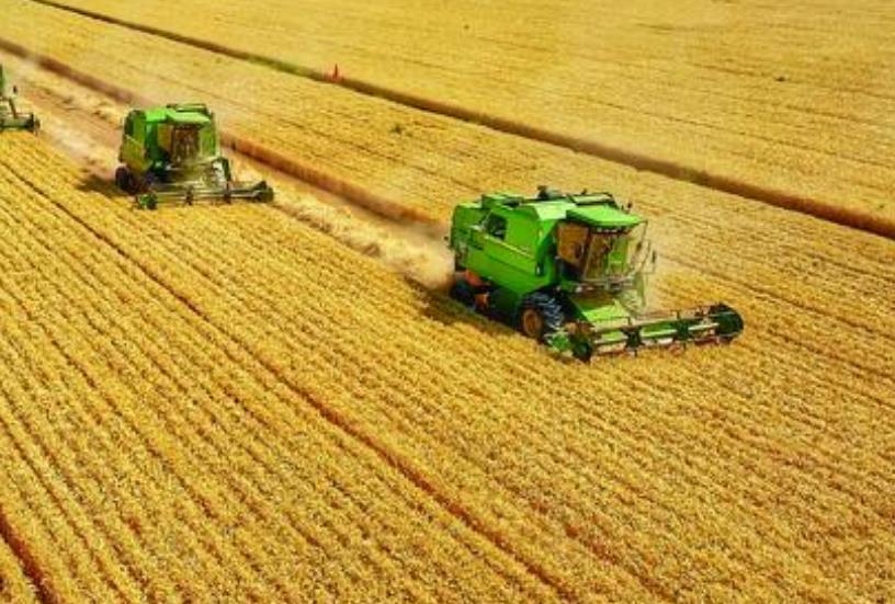 济宁“三夏”生产已收小麦308.3万亩