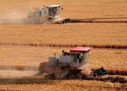 济宁“三夏”生产小麦收获已超八成
