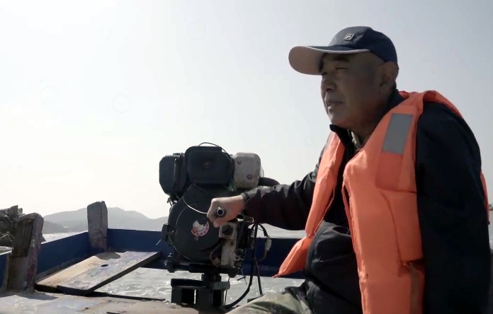 长岛“海豹爷爷”：守护斑海豹30载，用面换胶卷，冒生命危险拍下珍贵镜头