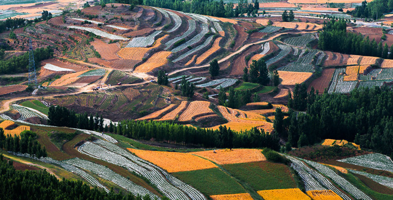 潍坊发放耕地地力补贴6.4亿元！提高至137.88元/亩
