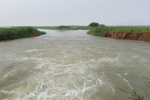 首次实现人工控制漫滩补水!黄河三角洲自然保护区湿地生态补水量创新高