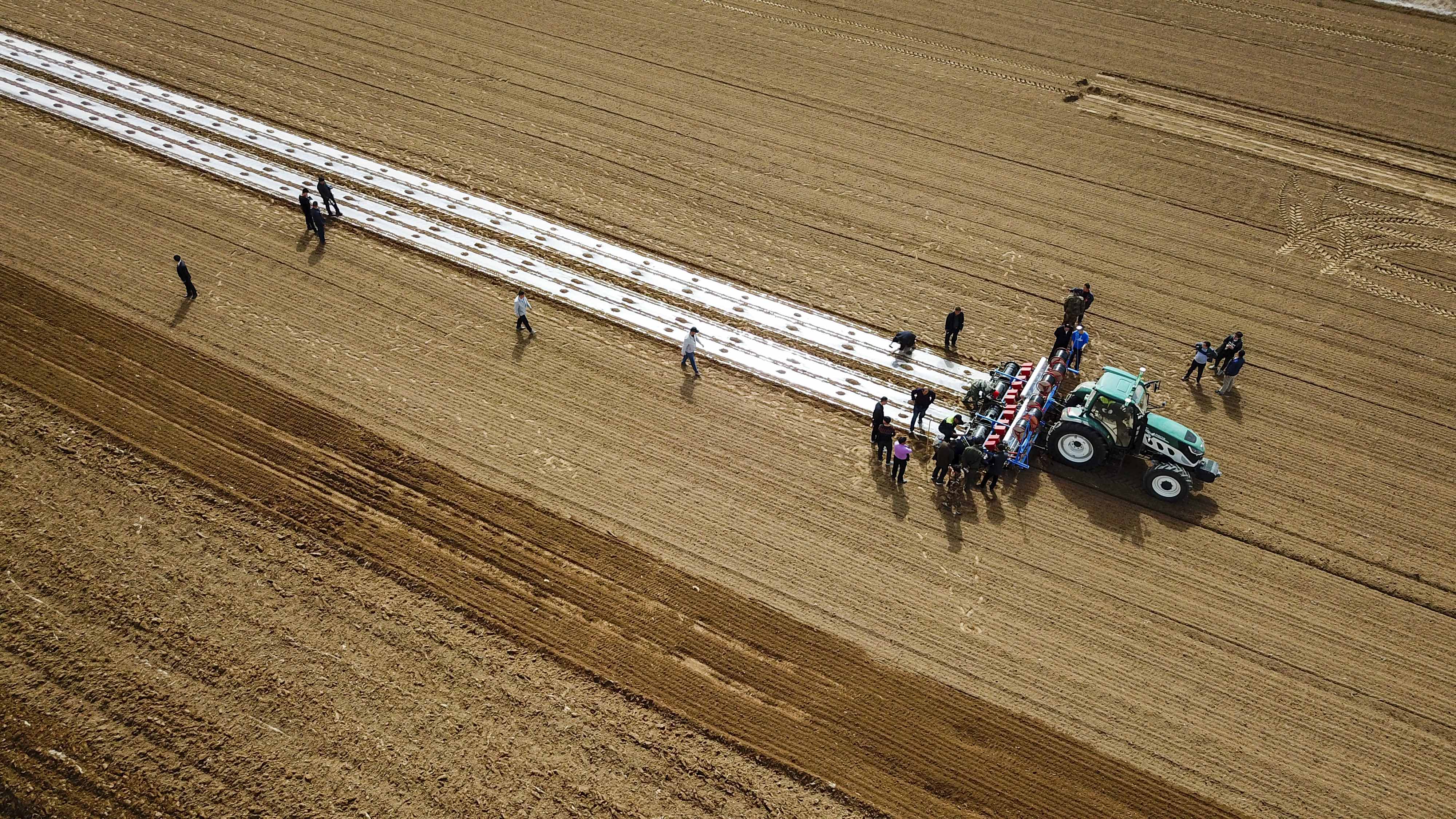 1-自动导航驾驶的雷沃拖拉机在新疆阿克苏地区开展春耕作业