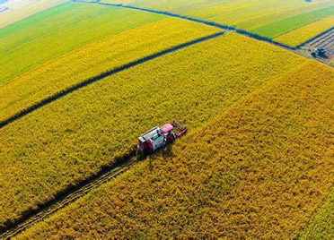 潍坊关于支持农业农村优先发展的若干政策措施