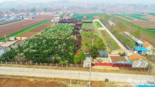 2020年中国美丽休闲乡村名单出炉，泰安这个村上榜