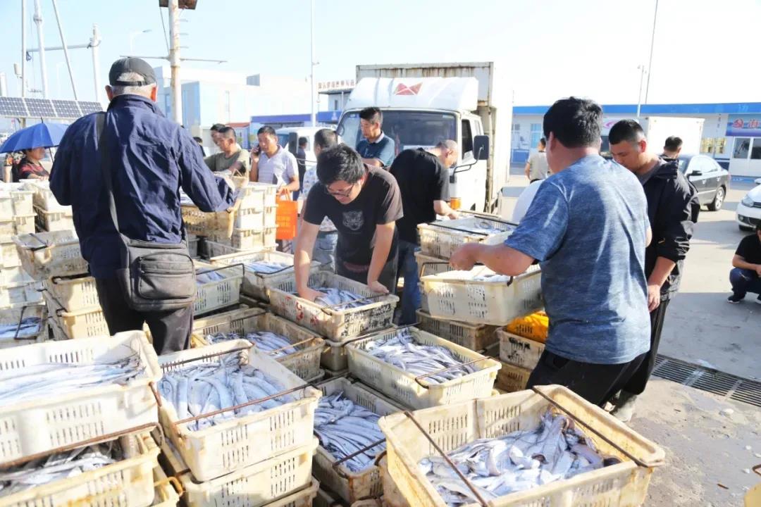 日照黄海中心渔港进入国家级名单！