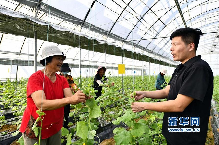 新华社:临沂地头来了乡村振兴服务队