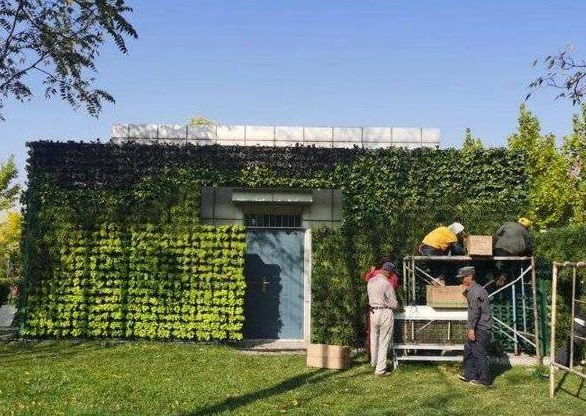 公厕穿上“绿衣裳” 立体绿化项目在东营“生根发芽”