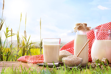 水牛奶、牦牛奶等成消费者新宠 喝小众奶要小心这些坑