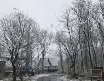 潍坊迎来今冬首场降雪
