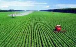 淄博将规范和加强土地整治工作 新增耕地必须用于农业生产