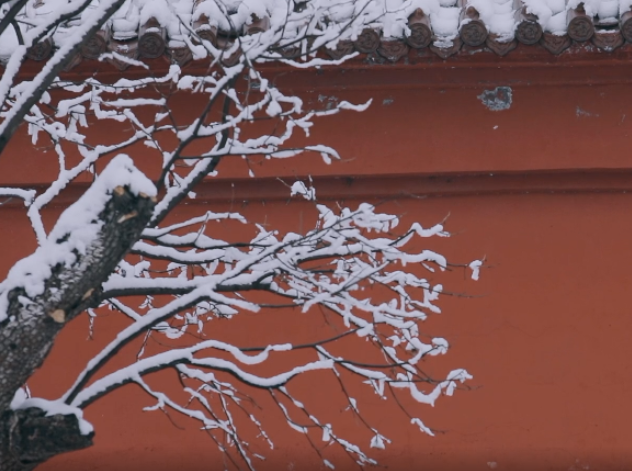 57秒丨雪月已至 千里一色！这样美的济南钢城雪景，我不想让你错过