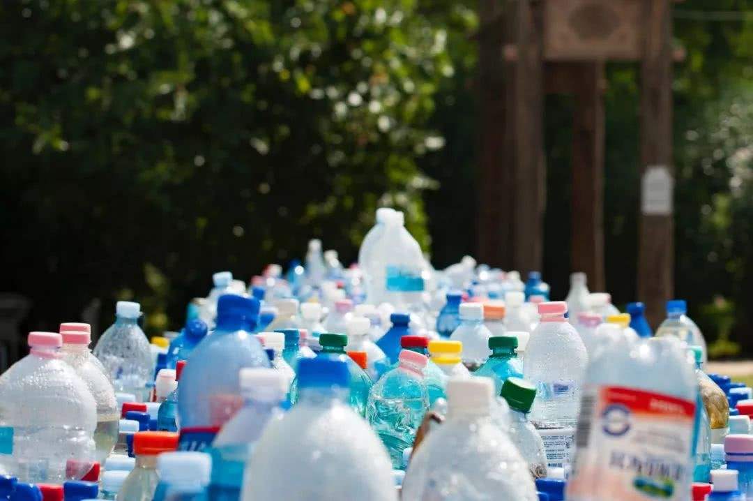 东营市公共机构禁止使用不可降解一次性塑料制品