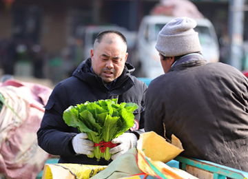 泰安良庄蔬菜批发市场一天销量达150吨