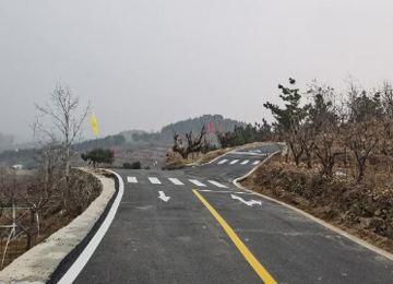 泰安省庄镇整修农村公路里程达296公里
