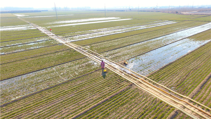 聊城提闸放水保春灌 满足沿河农田灌溉需求