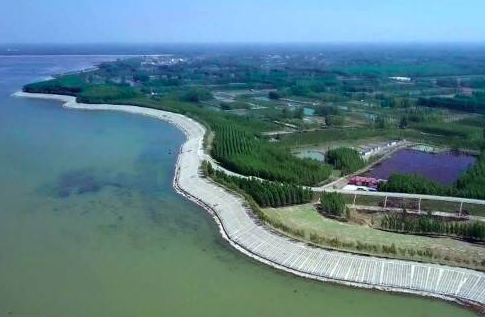 泰安集中开工黄河下游绿色生态走廊11个项目