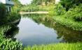 淄博市“十四五”期间和2021年度水资源保护利用行动方案公布