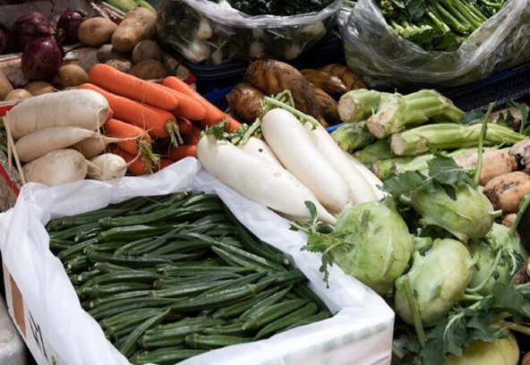 东营蔬菜批量上市 大部分蔬菜价格持续下降