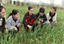淄博大学教师携手学生工作团把农业科技送到田间地头 助推农民致富