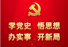 大王镇:党史学习教育走“心”更走“新”