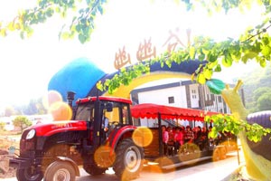 淄博市六地入选全国300条乡村旅游学习体验线路