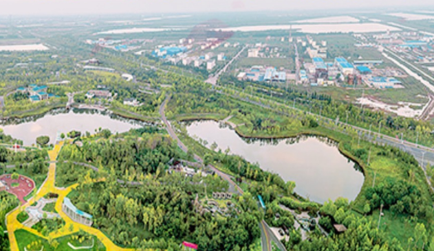 生态黄河口 国际湿地城！解锁“大美东营”的正确打开方式（H5）
