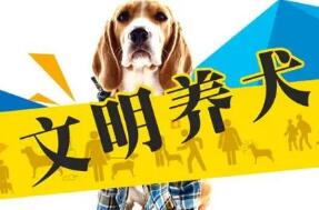 淄博举行养犬管理立法论证会 市民建议“文明养犬”规范“养犬行为”