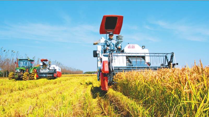 加速融合 科技推進農業現代化 