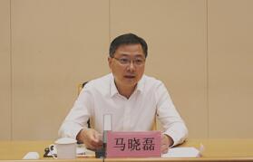 马晓磊出席淄博市医改工作电视电话会议