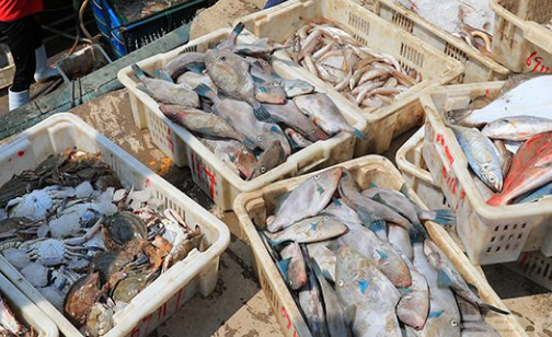 快乐就在开海时 渔港码头上市民争相购买刚刚捕获的海货