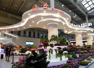 泰安市在第十届中国花卉博览会上喜获佳绩