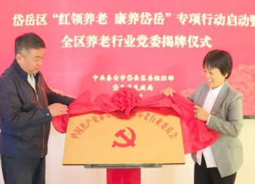 岱岳区成立泰安市首个养老行业党委