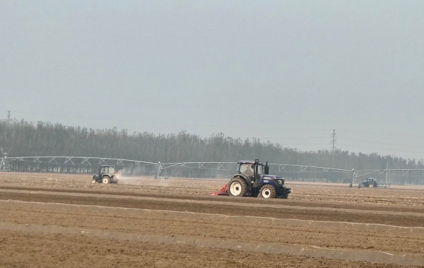滨州秋粮作物收获过九成，将迎来小麦播种高潮