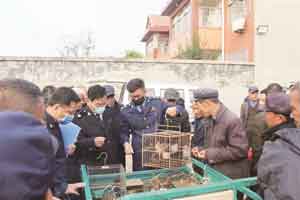 淄博临淄区开展野生动物保护联合执法行动