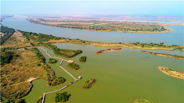 黄河河口管理局牢记习近平总书记嘱托做好河口治理和生态保护工作