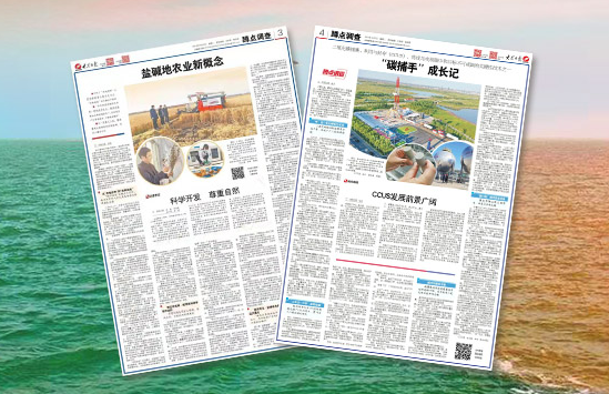 1.3万字，两个整版，大众日报为你带来黄河入海口的新故事