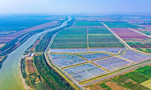 最美东营人|黄河三角洲现代农业技术创新中心:用科技打造