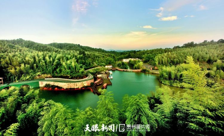370765-赤水竹海国家森林公园（王茂祥摄）.jpg