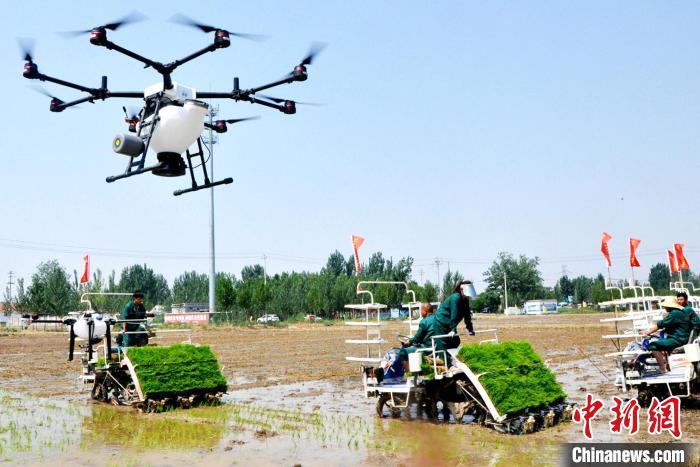 在济宁任城区，喷防一体无人机助力稻秧机械化种植。　周广慧 摄