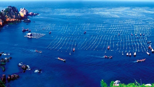 习近平总书记的海洋情怀