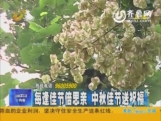 另类中秋祝福网上流行 网友称比套话短信有趣