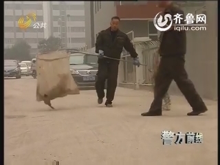 济南：清理狗患 遭遇“个性”犬主