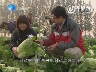 济南市首批百个蔬菜直销点29日启用