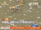热线调查：举报村头有污水 竟被扔进臭水沟