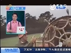 剧后还有戏：难忘！“加里森”曾是经典