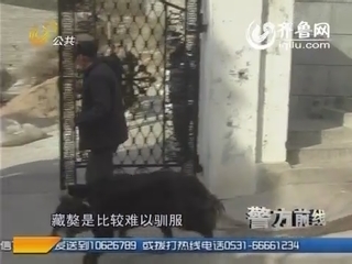 济南：民警清理狗“患” 收获不小