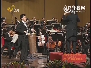 中国农业银行山东分行2012新年音乐会
