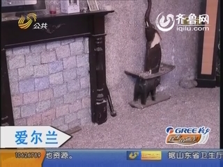 爱尔兰：“最贵豪宅”亿万废钞造