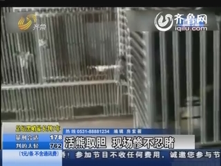 活熊取胆 现场惨不忍睹