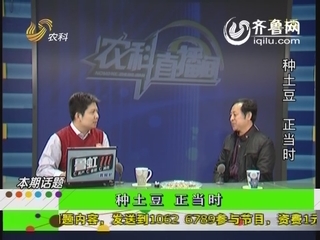 农科直播间：种土豆 正当时